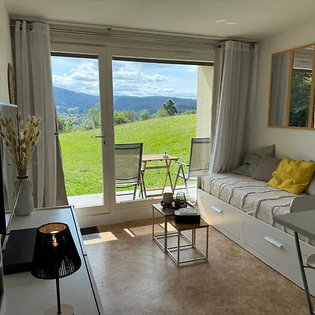 Cosy Avec Terrasse & Vue Sur Pistes ジェラールメ