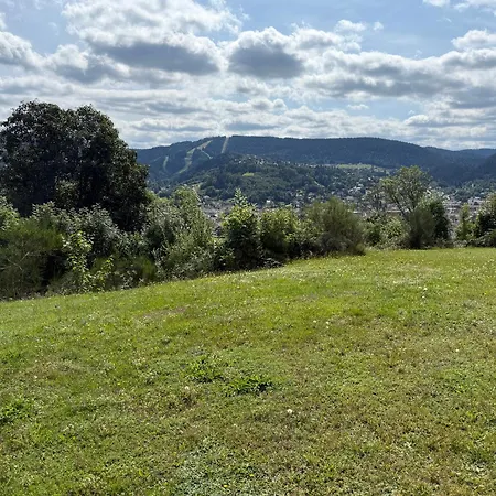 Cosy Avec Terrasse & Vue Sur Pistes Appartement Gérardmer