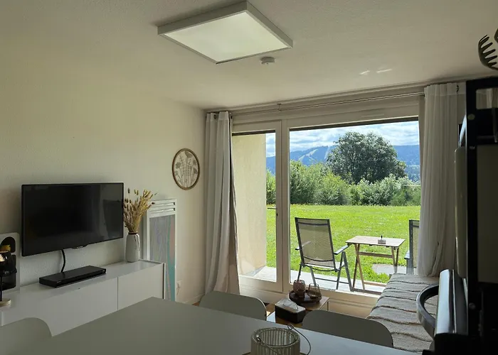 Cosy Avec Terrasse & Vue Sur Pistes * ジェラールメ