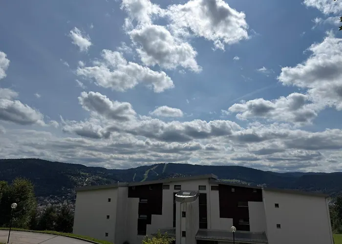 Апартаменты Cosy Avec Terrasse & Vue Sur Pistes *