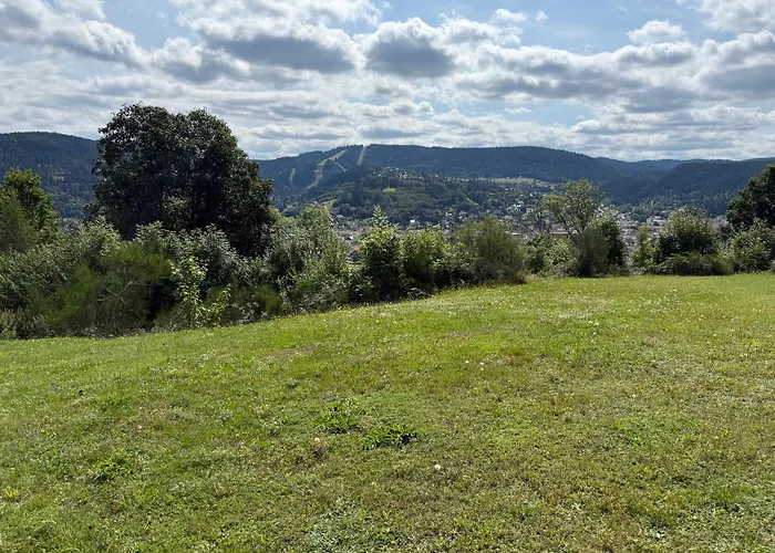 Cosy Avec Terrasse & Vue Sur Pistes アパート ジェラールメ